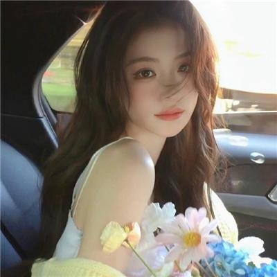 小查与寇弟的顶级冒险